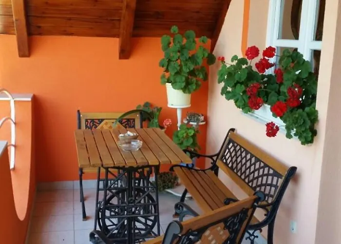 Berni Gazde/Camere de închiriat