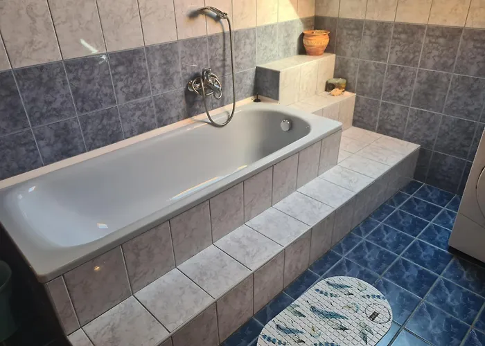 Berni Gazde/Camere de închiriat