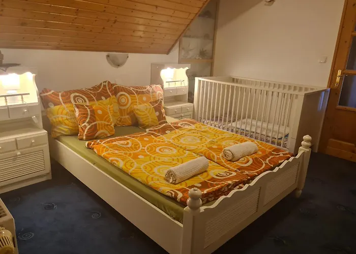 Berni Gazde/Camere de închiriat *