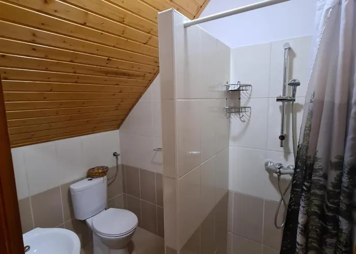 Gazde/Camere de închiriat Berni Badacsonytomaj