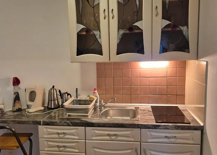 Berni Gazde/Camere de închiriat